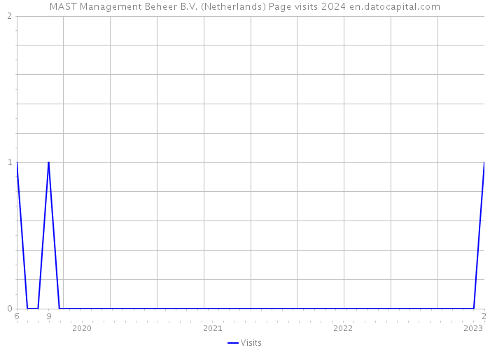 MAST Management Beheer B.V. (Netherlands) Page visits 2024 