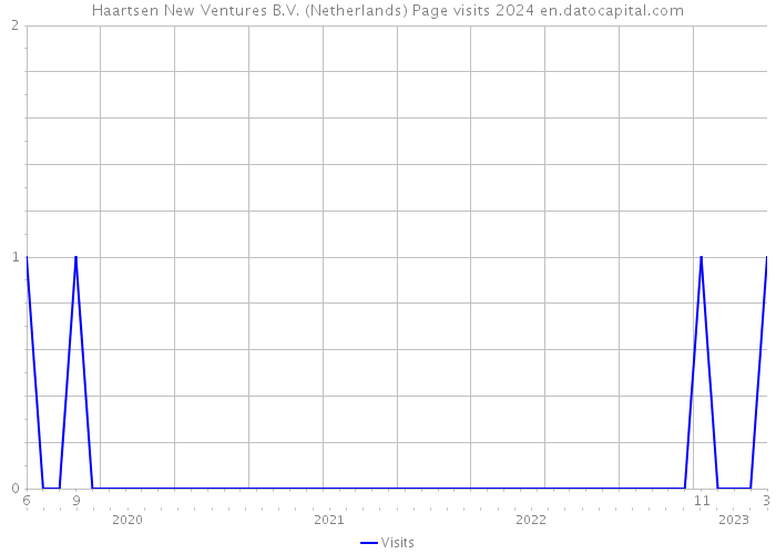 Haartsen New Ventures B.V. (Netherlands) Page visits 2024 