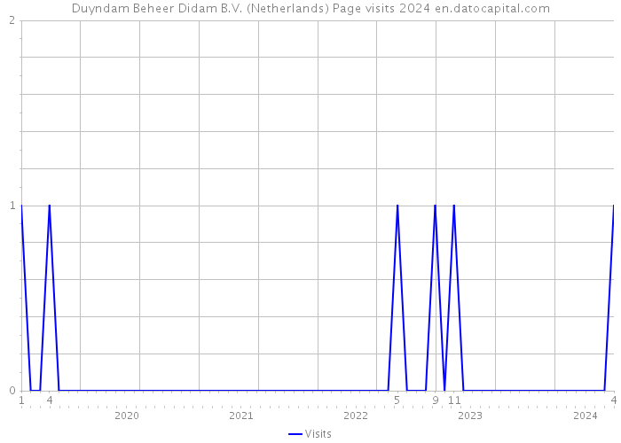 Duyndam Beheer Didam B.V. (Netherlands) Page visits 2024 
