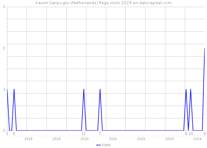 Kasim Garipoglu (Netherlands) Page visits 2024 