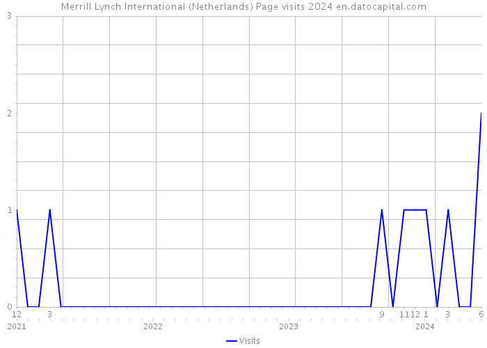 Merrill Lynch International (Netherlands) Page visits 2024 