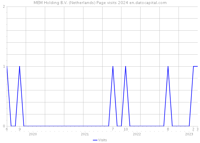 MEM Holding B.V. (Netherlands) Page visits 2024 