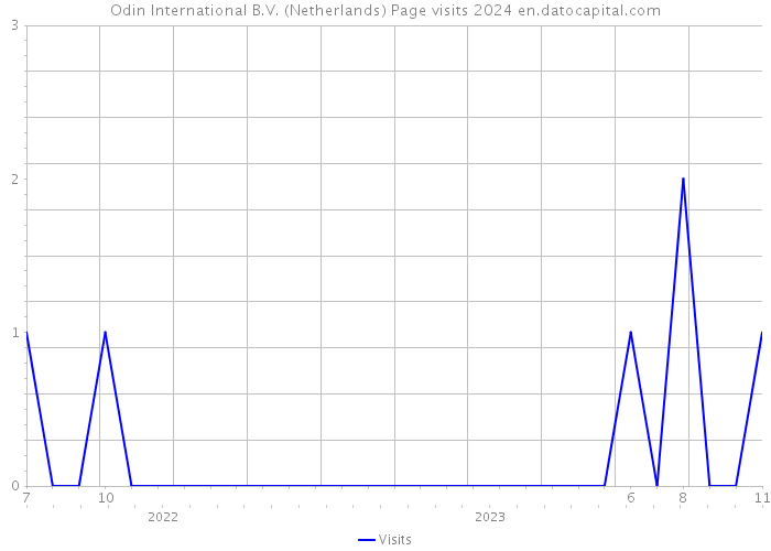 Odin International B.V. (Netherlands) Page visits 2024 