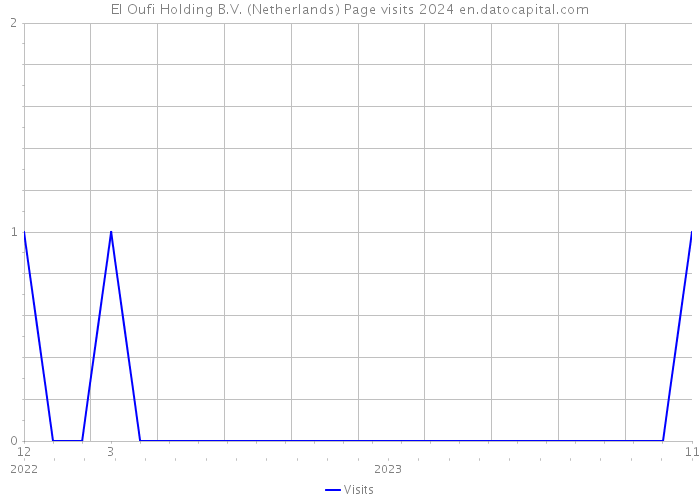 El Oufi Holding B.V. (Netherlands) Page visits 2024 