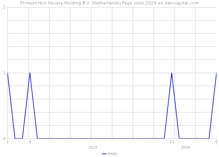 Primum Non Nocere Holding B.V. (Netherlands) Page visits 2024 