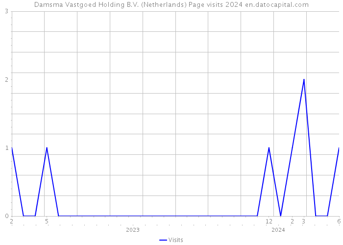 Damsma Vastgoed Holding B.V. (Netherlands) Page visits 2024 