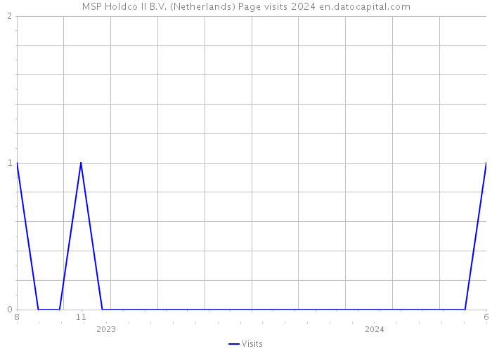 MSP Holdco II B.V. (Netherlands) Page visits 2024 