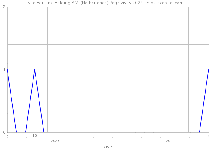 Vita Fortuna Holding B.V. (Netherlands) Page visits 2024 
