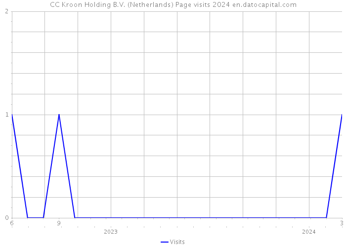 CC Kroon Holding B.V. (Netherlands) Page visits 2024 