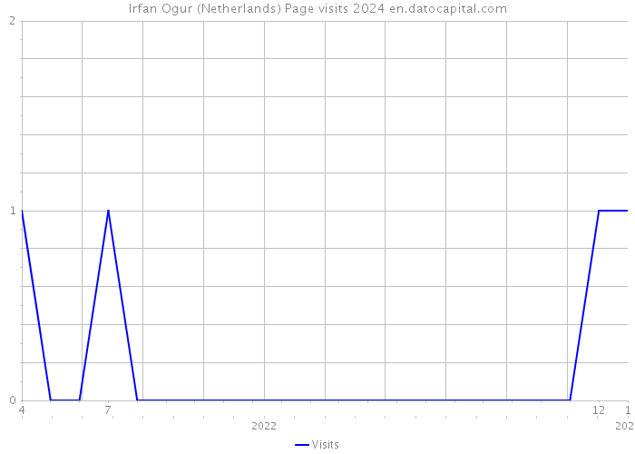 Irfan Ogur (Netherlands) Page visits 2024 