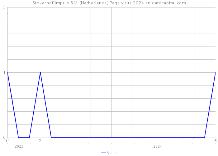 Brokerhof Impuls B.V. (Netherlands) Page visits 2024 