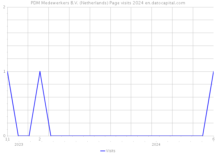 PDM Medewerkers B.V. (Netherlands) Page visits 2024 