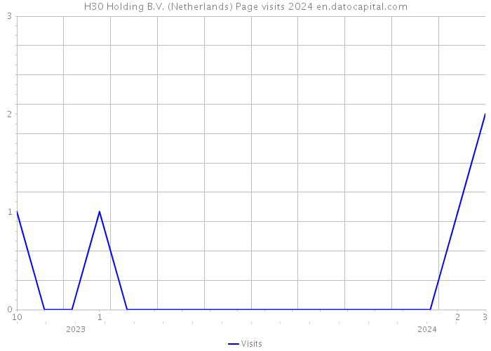 H30 Holding B.V. (Netherlands) Page visits 2024 