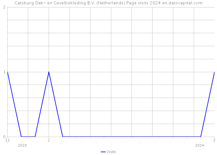 Catsburg Dak- en Gevelbekleding B.V. (Netherlands) Page visits 2024 