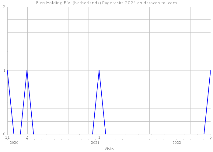 Bien Holding B.V. (Netherlands) Page visits 2024 