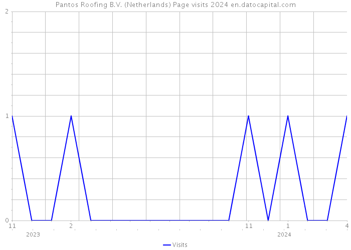 Pantos Roofing B.V. (Netherlands) Page visits 2024 