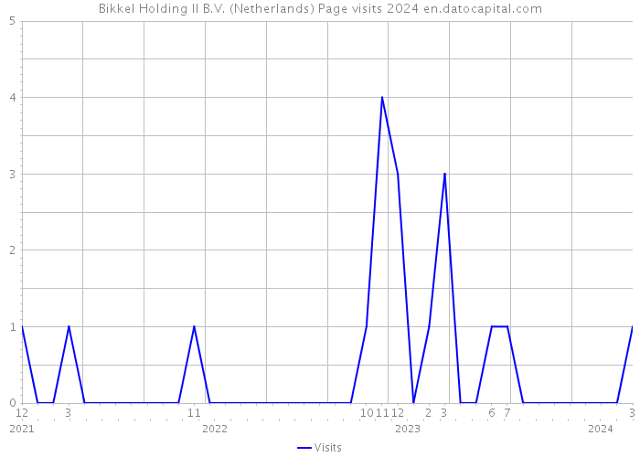 Bikkel Holding II B.V. (Netherlands) Page visits 2024 