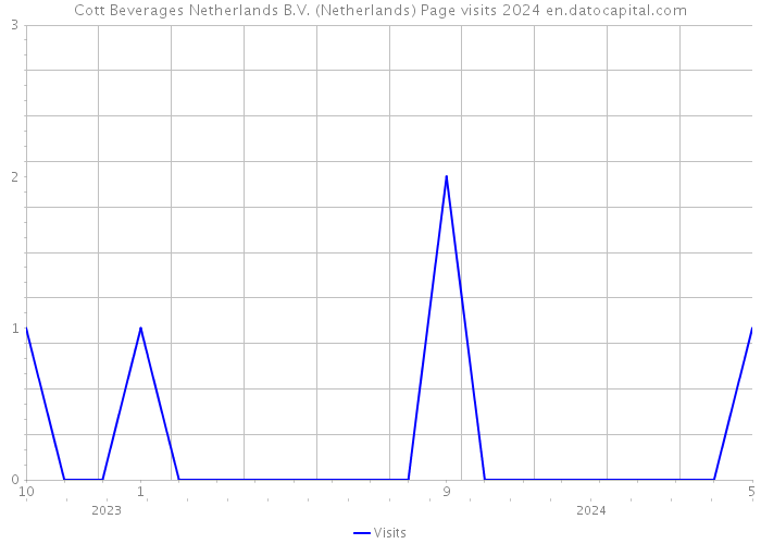 Cott Beverages Netherlands B.V. (Netherlands) Page visits 2024 