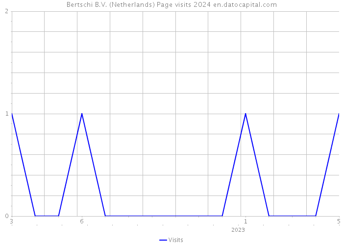 Bertschi B.V. (Netherlands) Page visits 2024 