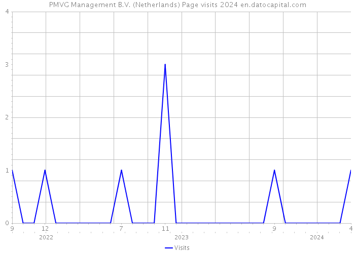 PMVG Management B.V. (Netherlands) Page visits 2024 