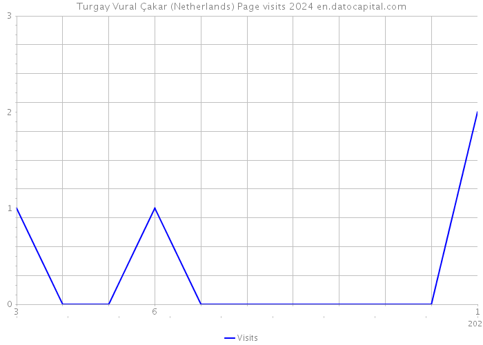 Turgay Vural Çakar (Netherlands) Page visits 2024 
