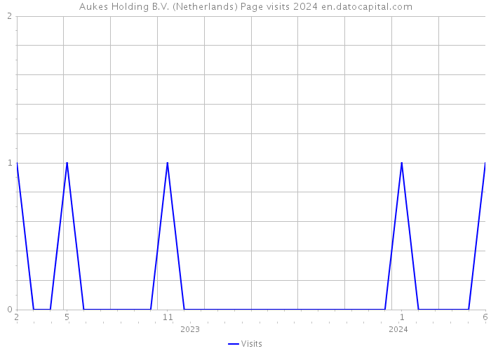Aukes Holding B.V. (Netherlands) Page visits 2024 