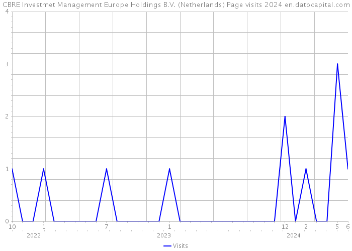 CBRE Investmet Management Europe Holdings B.V. (Netherlands) Page visits 2024 