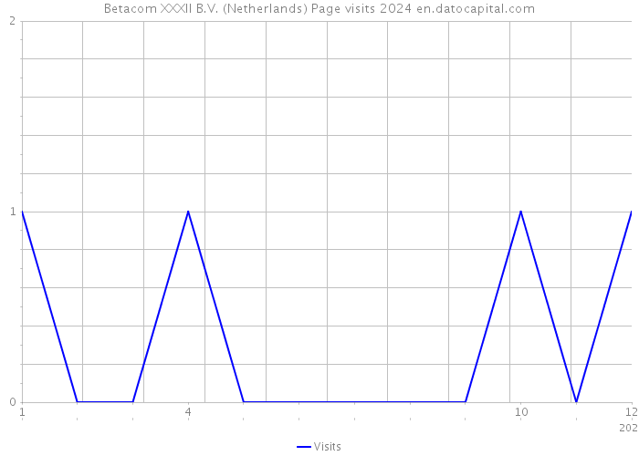 Betacom XXXII B.V. (Netherlands) Page visits 2024 