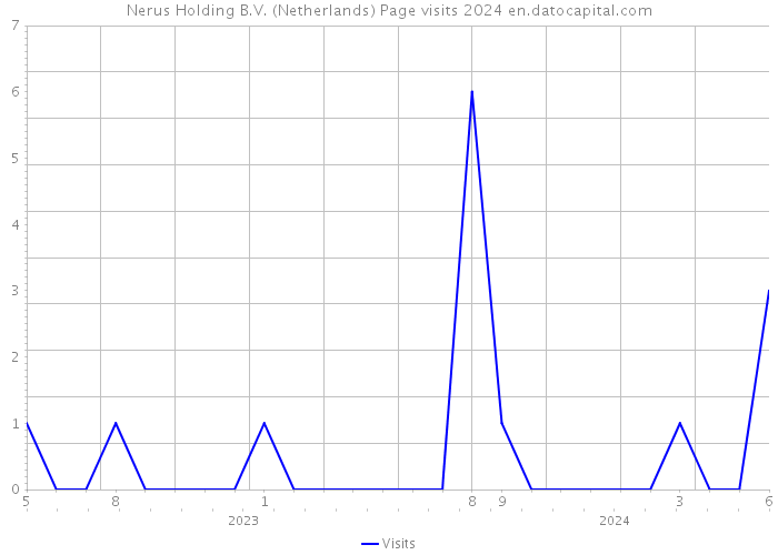 Nerus Holding B.V. (Netherlands) Page visits 2024 