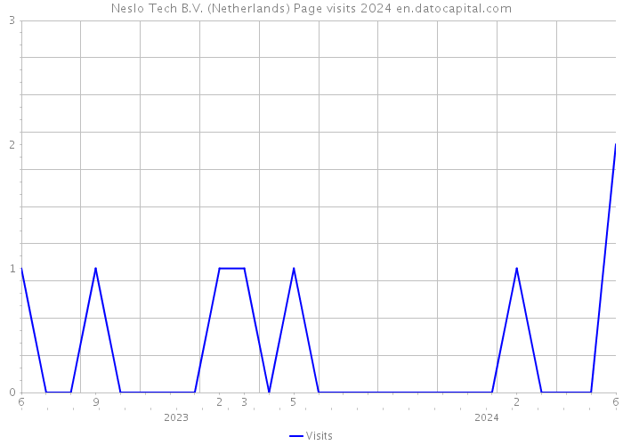 Neslo Tech B.V. (Netherlands) Page visits 2024 