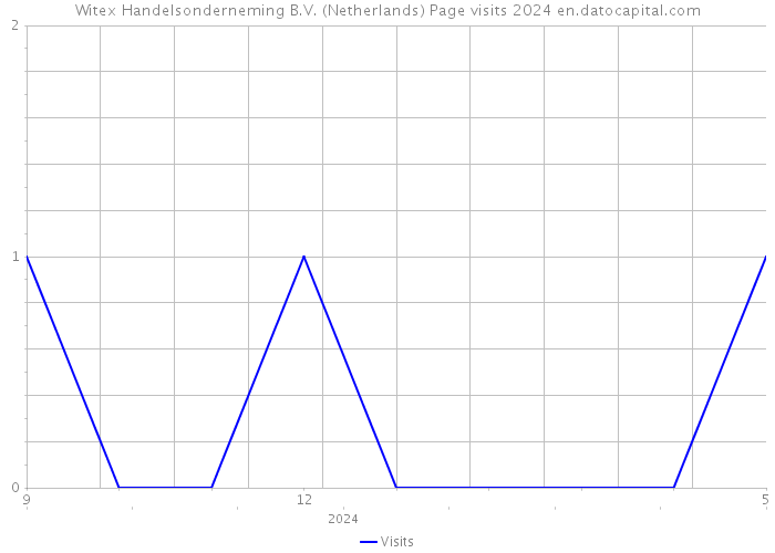 Witex Handelsonderneming B.V. (Netherlands) Page visits 2024 