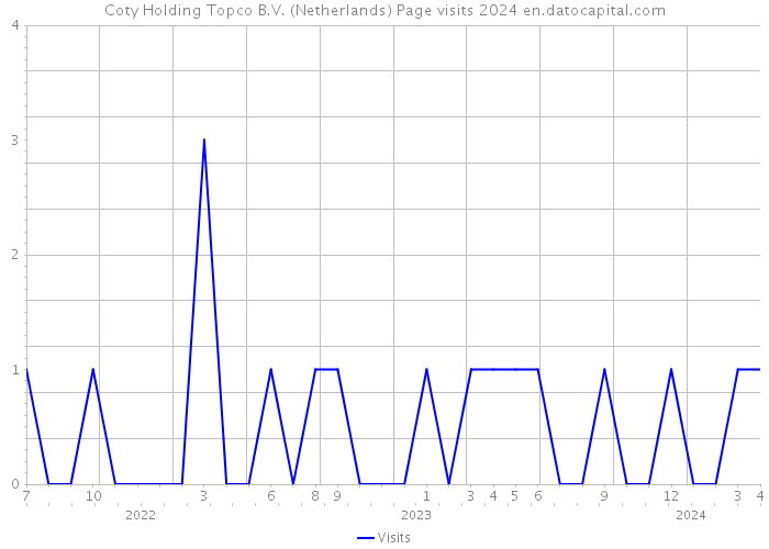 Coty Holding Topco B.V. (Netherlands) Page visits 2024 