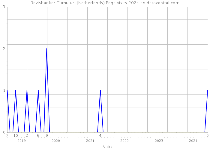 Ravishankar Tumuluri (Netherlands) Page visits 2024 