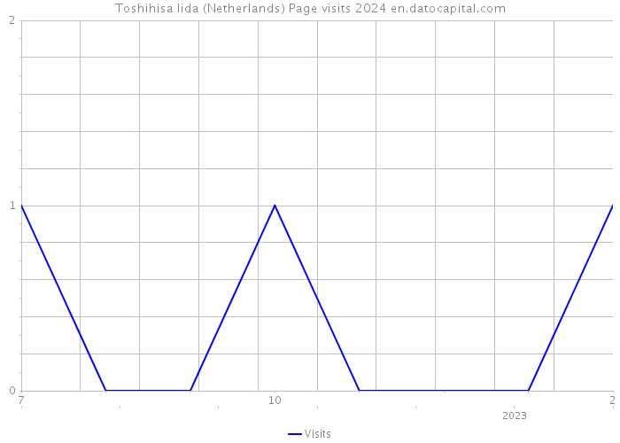 Toshihisa Iida (Netherlands) Page visits 2024 