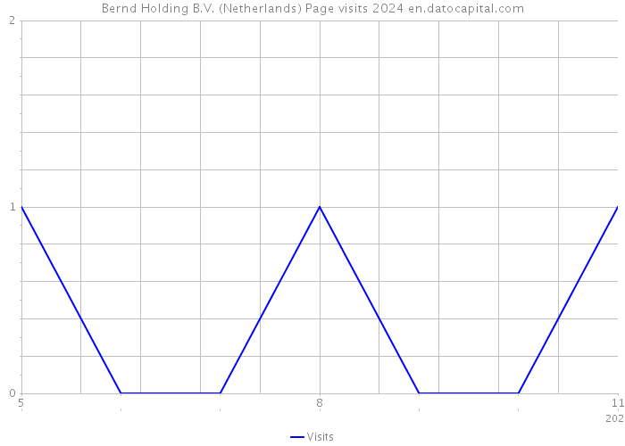 Bernd Holding B.V. (Netherlands) Page visits 2024 