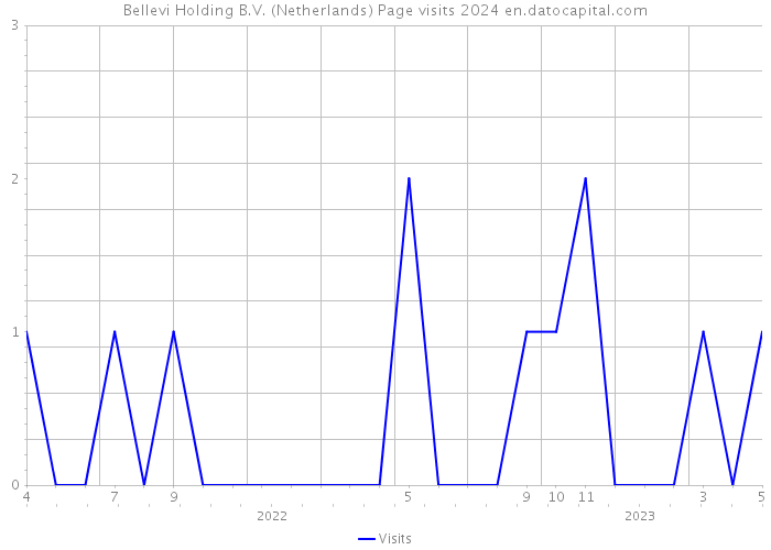 Bellevi Holding B.V. (Netherlands) Page visits 2024 