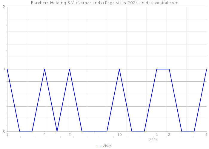 Borchers Holding B.V. (Netherlands) Page visits 2024 