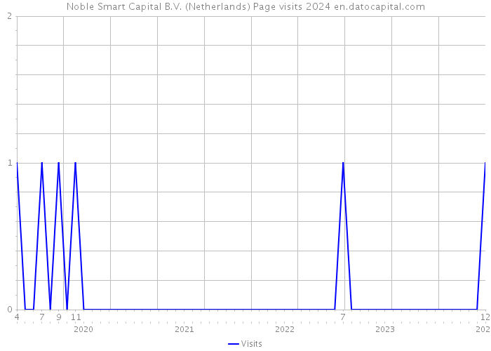 Noble Smart Capital B.V. (Netherlands) Page visits 2024 
