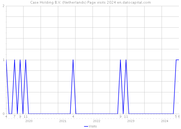 Case Holding B.V. (Netherlands) Page visits 2024 