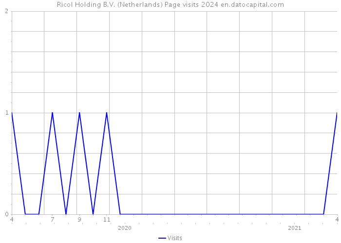 Ricol Holding B.V. (Netherlands) Page visits 2024 