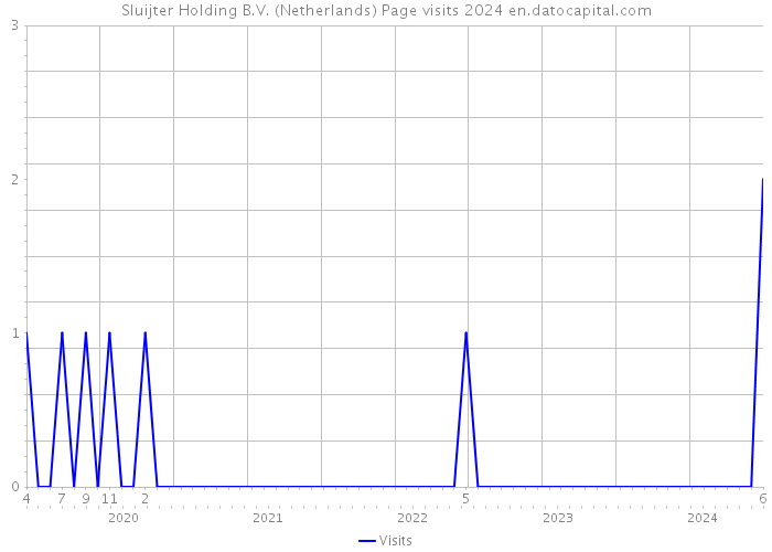 Sluijter Holding B.V. (Netherlands) Page visits 2024 