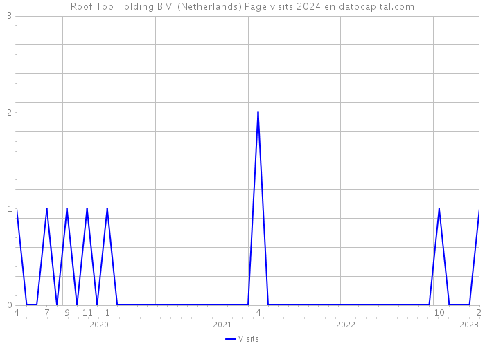 Roof Top Holding B.V. (Netherlands) Page visits 2024 