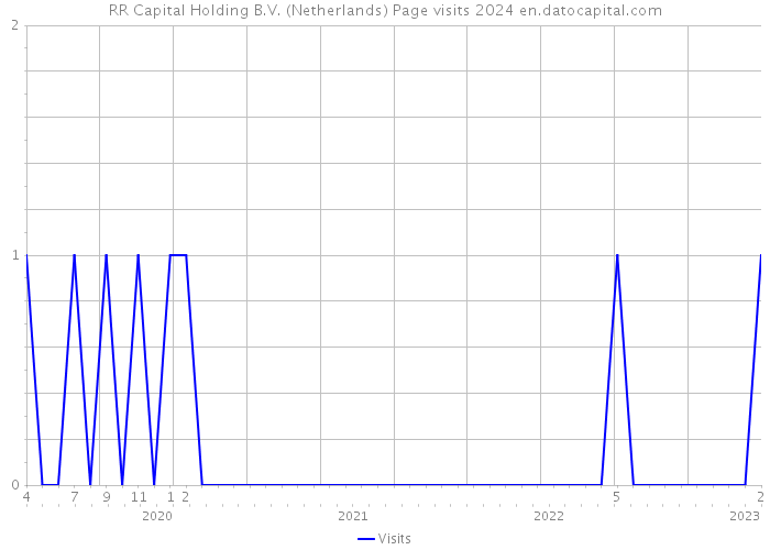 RR Capital Holding B.V. (Netherlands) Page visits 2024 