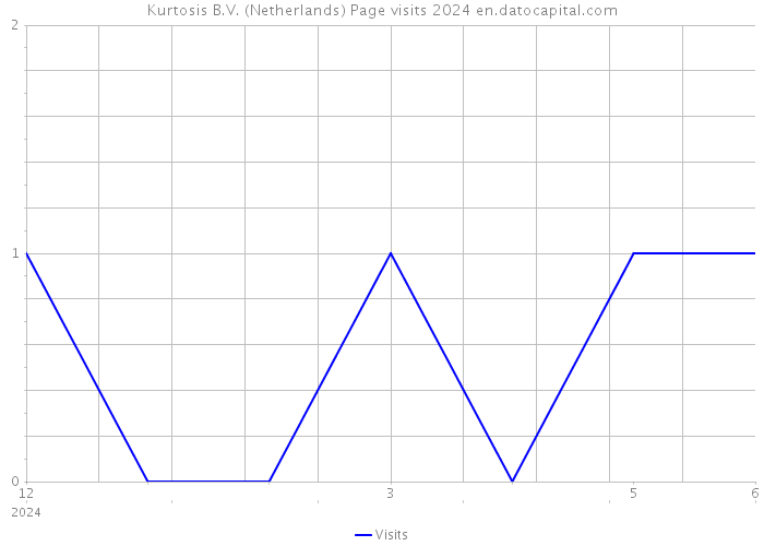 Kurtosis B.V. (Netherlands) Page visits 2024 