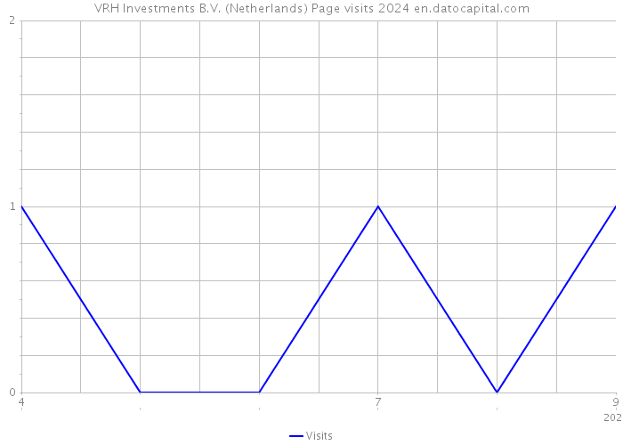 VRH Investments B.V. (Netherlands) Page visits 2024 