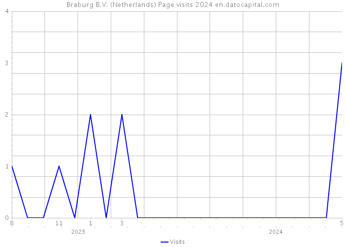 Braburg B.V. (Netherlands) Page visits 2024 