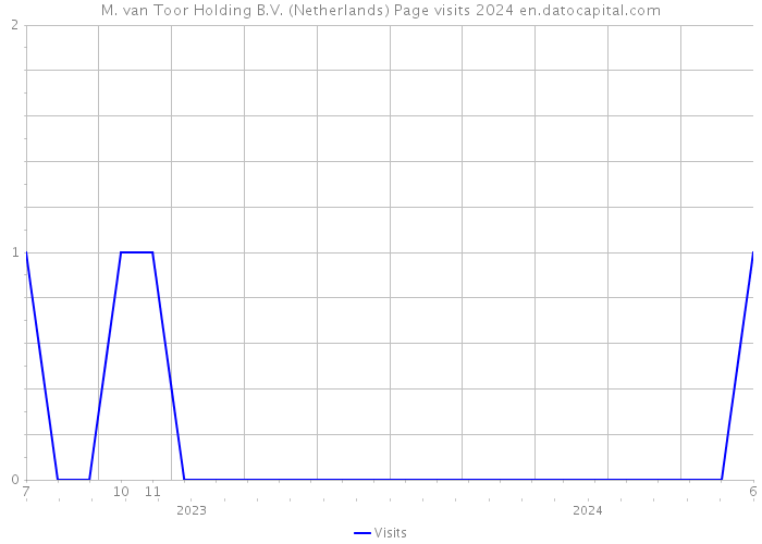M. van Toor Holding B.V. (Netherlands) Page visits 2024 