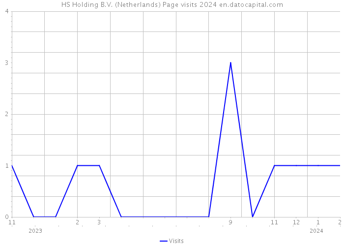 HS Holding B.V. (Netherlands) Page visits 2024 