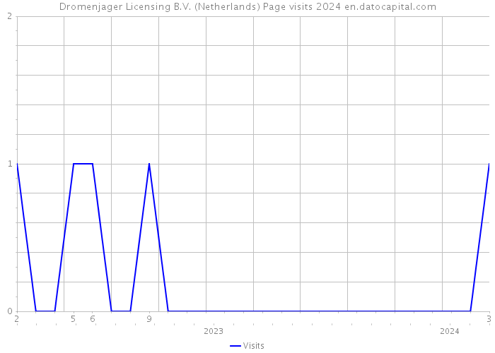 Dromenjager Licensing B.V. (Netherlands) Page visits 2024 