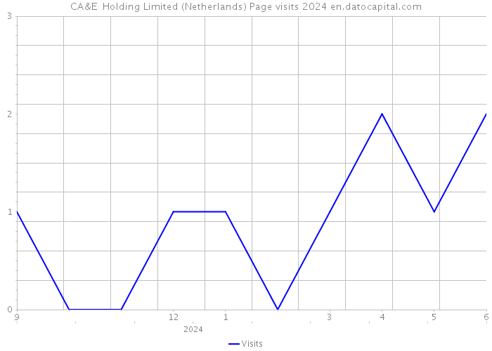 CA&E+ Holding Limited (Netherlands) Page visits 2024 